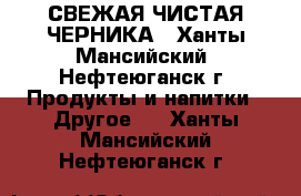 СВЕЖАЯ ЧИСТАЯ ЧЕРНИКА - Ханты-Мансийский, Нефтеюганск г. Продукты и напитки » Другое   . Ханты-Мансийский,Нефтеюганск г.